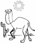 Camel-1144.gif
