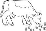 Cow-1158.gif