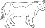 Cow-2238.gif