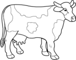 Cow-2239.gif