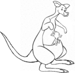 Kangaroo-2247.gif