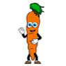 Carrot