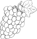Grapes-1269.gif