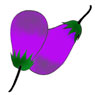 Brinjal