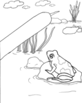 Frog-1436.gif