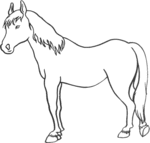 Horse-1340.gif
