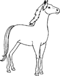 Horse-1344.gif