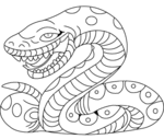 Snake-1653.gif