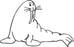 Walrus-2404.gif