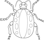 Beetle-1405.gif