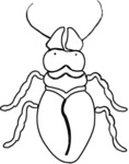 Beetle-1406.gif
