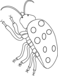 Beetle-1441.gif