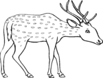 Deer-1421.gif