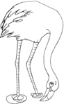 Flamingo-1433.gif