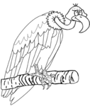 Vulture-1464.gif