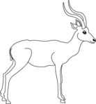 Antelope-1515.gif