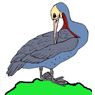 Brownpelican