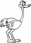 Ostrich-1622.gif