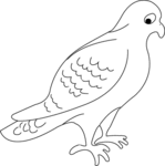 Pigeon-1708.gif
