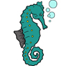 Seahorse