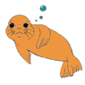 Seal