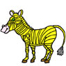 Zebra