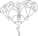 Radish-1797.gif