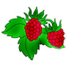 Raspberry