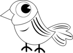 Bird-2649.gif