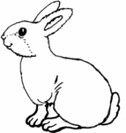 Rabbit-2342.gif