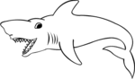 Shark-2422.gif